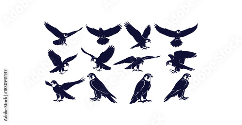 Collection of eagle silhouettes from multiple angles for wildlife and nature designs