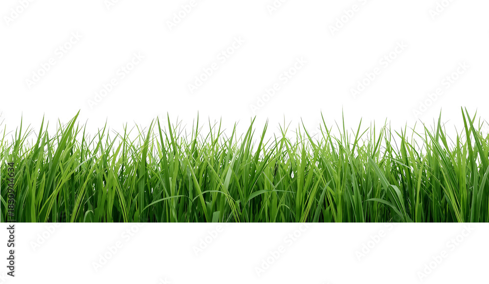 Obraz premium Lush Green Grass Field With Fresh Blades Swaying Gently in the Breeze on a Sunny Day