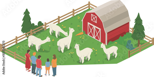 Isometric illustration of family visiting alpaca farm with fenced pasture, barn, trees, cute alpacas and children enjoying outdoor animal attraction