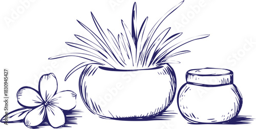 Hand drawn sketch of spa elements plant, flower, and cream jar