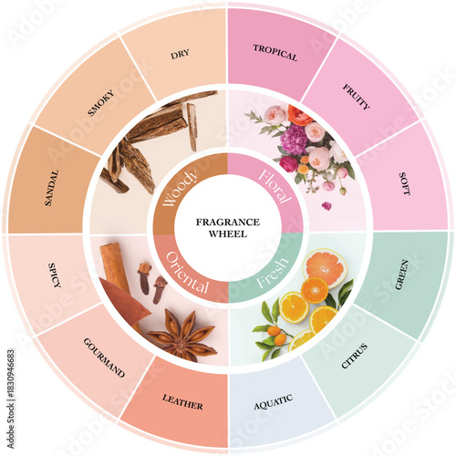 Fragrance wheel 