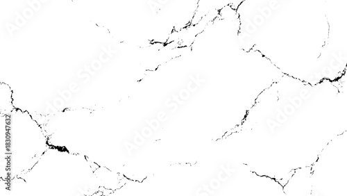 Abstract white marble texture with natural black crack pattern surface design Vector, illustration