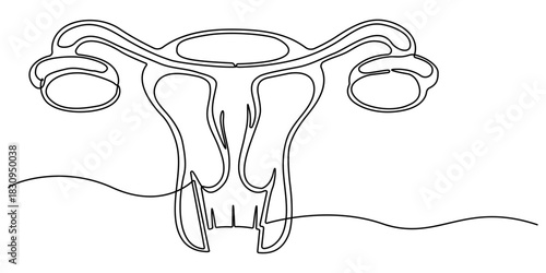 Women's uterus continuous one line drawing of female reproductive outline illustration