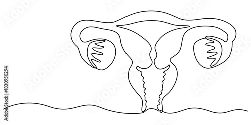 Women's uterus continuous one line drawing of female reproductive outline illustration