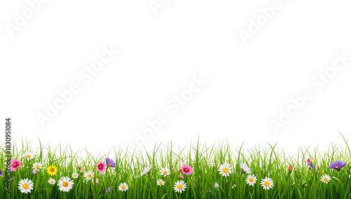 Colorful Wildflower Meadow With Vibrant Blooms Under Clear Blue Sky