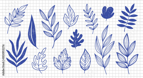 Collection of blue botanical illustrations on a grid background with various leaf shapes and arrangements