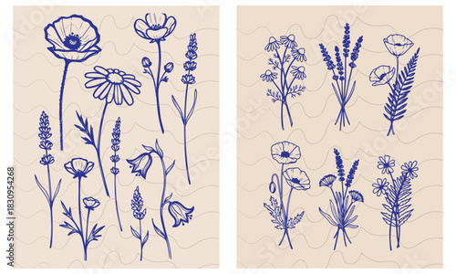 Hand-drawn botanical wildflower vector set with vintage floral elements