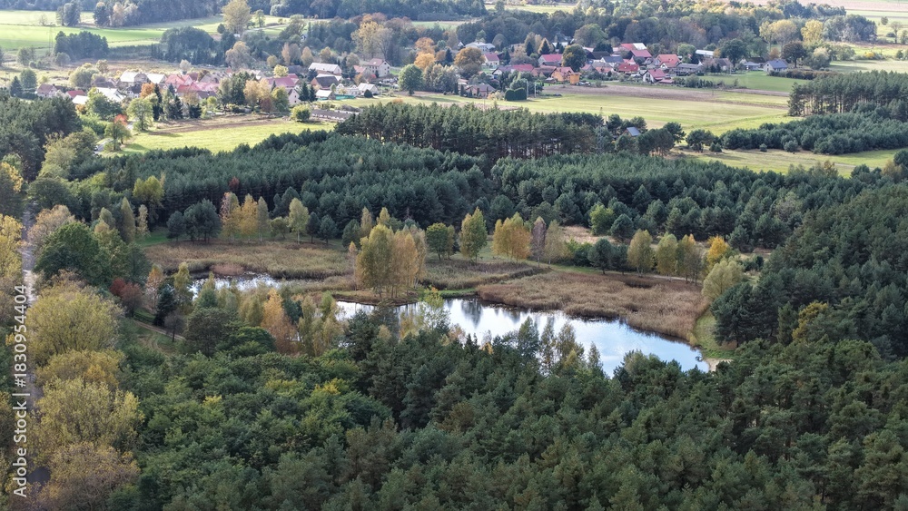 Fototapeta premium Aerial view of autumn pond and village surrounded by forest and fields in rural Poland. Drone photo showing a reflective pond with autumn foliage in the foreground and a small village nestled among f 