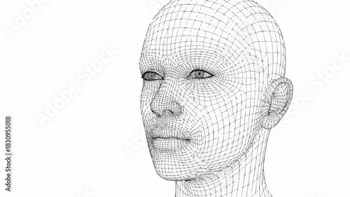 Three dimensional wireframe of a human head looking forward.