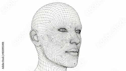 Wireframe Head - A Digital Representation of the Human Form.