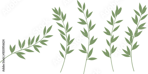 Minimalist Vector Set of Greenery Branches, Featuring Simple Stylized Leaves and Stems, Ideal for Organic, Wedding, and Nature-Themed Designs