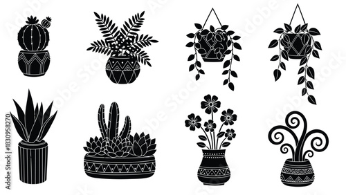 Decorative potted plants collection of succulents, cacti, ferns, and flowering foliage in stylized patterned, isolated on white background
