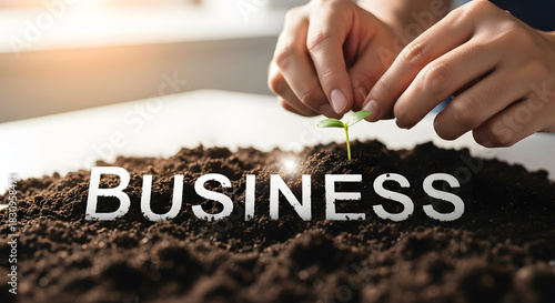 Business Text on Soil with Hands Holding Growing Plant – Corporate Growth Concept