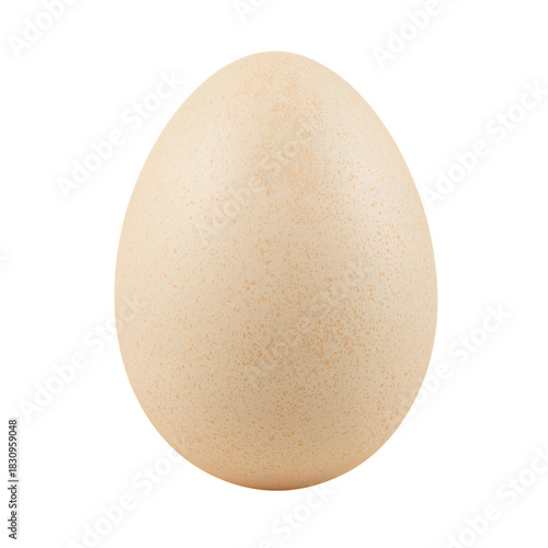 Brown Egg Placed on a Flat Surface Showing Unique Texture and Color Under Bri...