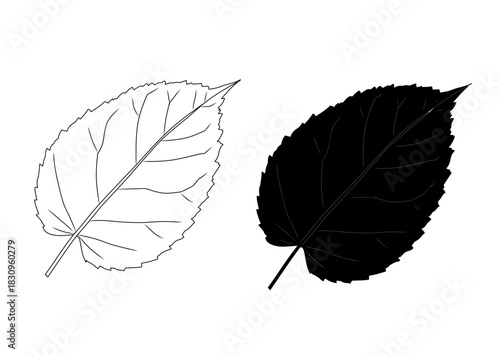 Rose Leaf Outline and Silhouette Botanical Set
