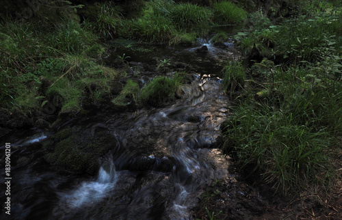 Kaltenbach bei Enzklösterle / Gompelscheuer