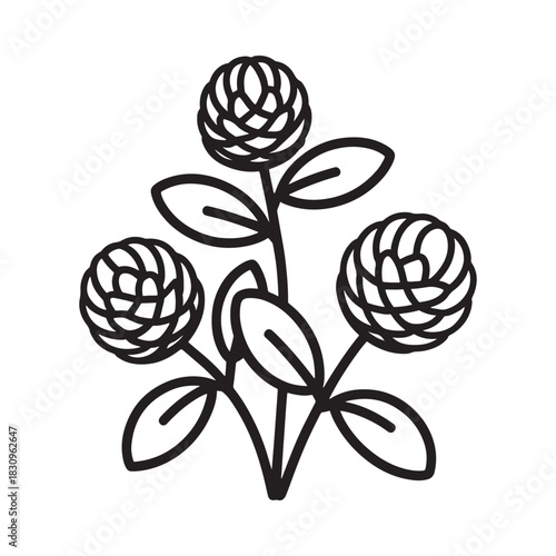 Stylized black and white illustration of a clover plant with four leafy blooms