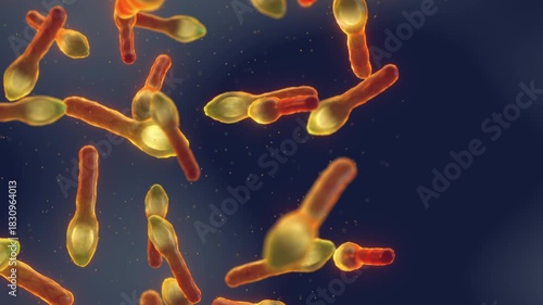 Clostridium botulinum is a rod-shaped bacterium, forming spores and producing deadly neurotoxin causing botulism. Food safety, microbiology, and disease education concept