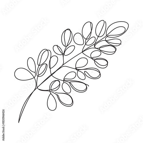 Minimalist line drawing of a delicate leafy branch