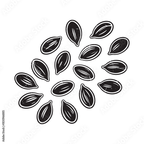 Hand drawn illustration of a cluster of watermelon seeds