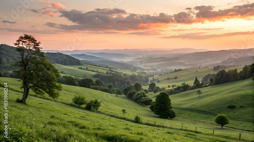 Fototapeta Naklejka Na Ścianę i Meble -  Rolling green hills landscape at sunset with fog