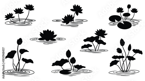 Elegant black silhouette lotus flowers, water lilies, and closed buds floating on a serene water surface with ripple, isolated on white background