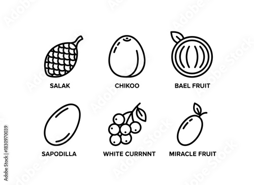 Salak Chikoo Bael Fruit Sapodilla White Currant Miracle Fruit Minimal Bold Line Icon Set