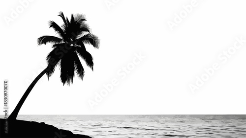 Silhouette of a single palm tree on a tropical beach at sunset.