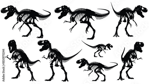 Detailed black Tyrannosaurus Rex dinosaur skeletons in various dynamic walking and roaring poses, a flat vector, isolated on white background