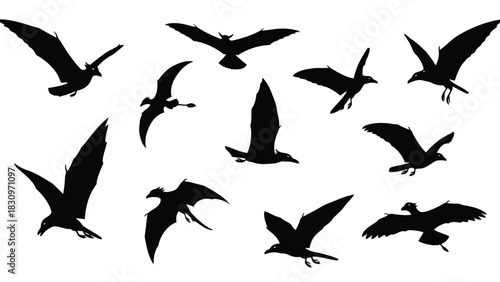 Diverse collection of black bird silhouettes flying in various dynamic poses, showcasing graceful movement and freedom,, isolated on white background