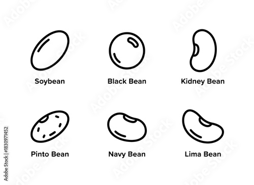 Soybean Black Bean Kidney Bean Pinto Bean Navy Bean Lima Bean Minimal Bold Line Icon Set