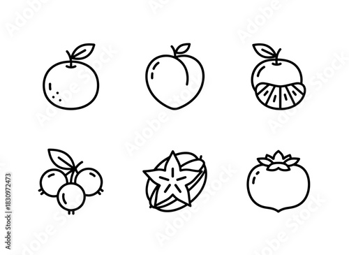 Tangerine Nectarine Clementine Gooseberry Starfruit Persimmon Minimal Bold Line Icon Set