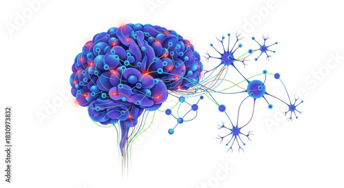 A stylized illustration of a human brain with connected neural networks, showing brain activity.