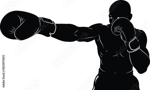 silhouette of a boxer in action
