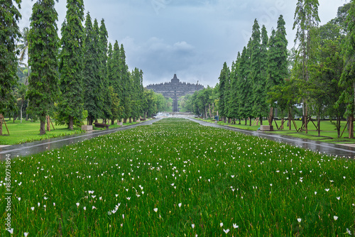 Borobudur Indonesia 12 11 2025 – Tree-lined pathway leading to the world’s largest Buddhist temple in Java, framed by lush greenery.