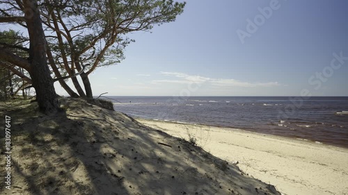 Walking along the Baltic dunes in summer. High dunes with green trees, grass and reliefs against the sea. Baltic Sea. National Park. Latvia. High quality shooting in 4K format.