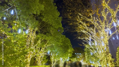樹木イルミネーションとライトアップタワーの冬夜景