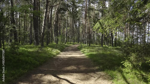 Walking along the Baltic dunes in summer. High dunes with green trees, grass and reliefs against the sea. Baltic Sea. National Park. Latvia. High quality shooting in 4K format.