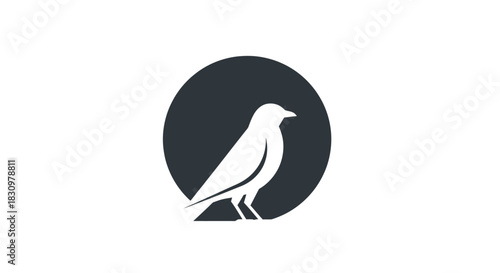 Monochrome avian emblem design with stark contrast, a stylized bird icon within a circular shape