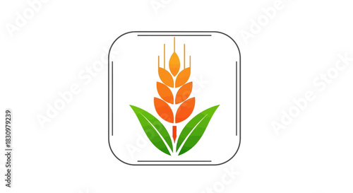 Stylized wheat ear illustration for agriculture sector and healthy foods branding application