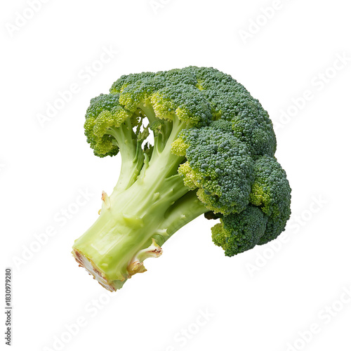 Fresh Green Broccoli Head Displayed on a White Background for Healthy Cooking...