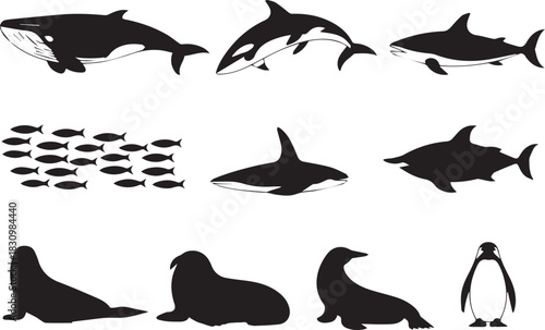 ocean black silhouette sea animals collection educational vector