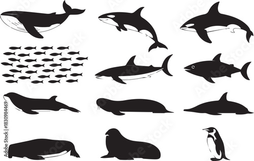 ocean reflected marine life icons school fish hammerhead vector