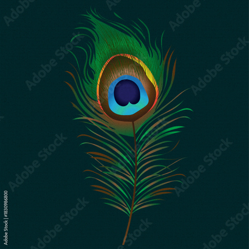 Elegant Peacock Feather Illustration – Colorful Indian Mor Pankh Design, Spiritual, Decorative Art