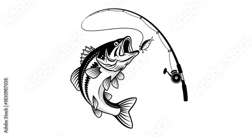 Leaping bass fish attempting to catch a lure from a fishing rod