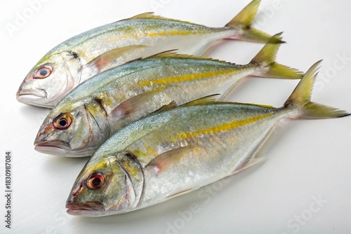 Three freshly caught yellowfin tuna fish on a white background