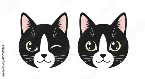 Cartoon black and white tuxedo cat faces with different expressions