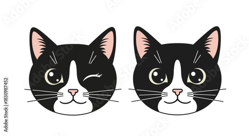 Cute cartoon tuxedo cat faces with different expressions vector