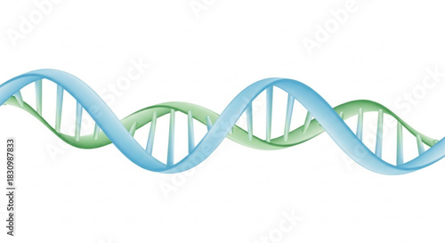 A double helix DNA structure is depicted in blue and green, floating against a white background.