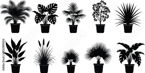 Potted plant silhouette vector, indoor greenery design, black leaf shapes, botanical decor, nature illustration, houseplant collection, white background artwork